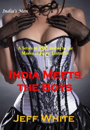 Cover of the book India Meets the Boys by Vana V