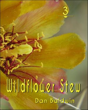 Cover of the book Wildflower Stew 3 by Rhonda Hull, Dwight Hull, Dan Baldwin