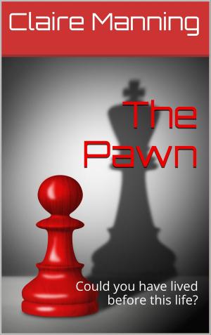 Cover of The Pawn: Could You Have Lived Before This Life? Do You Believe In Reincarnation?