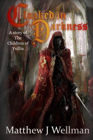 Cover of the book Cloaked in Darkness by J.R. McGinnity