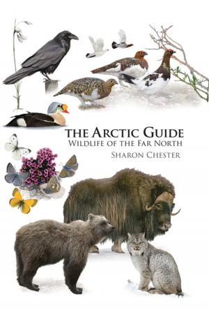 Cover of the book The Arctic Guide by 