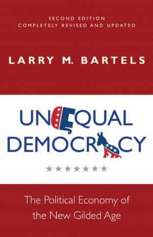 Book cover of Unequal Democracy
