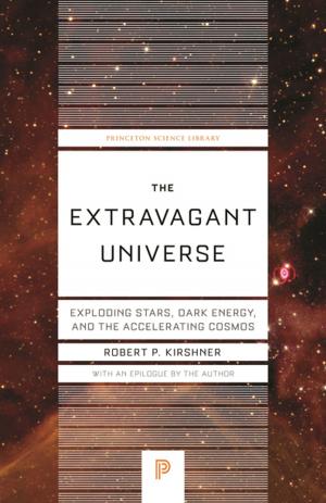 Book cover of The Extravagant Universe