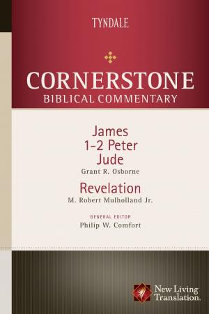 Book cover of James, 1-2 Peter, Jude, Revelation