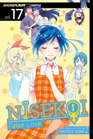 Book cover of Nisekoi: False Love, Vol. 17