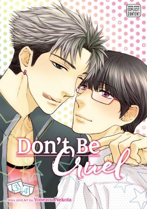 Cover of Don't Be Cruel: 2-in-1 Edition, Vol. 2 (Yaoi Manga)
