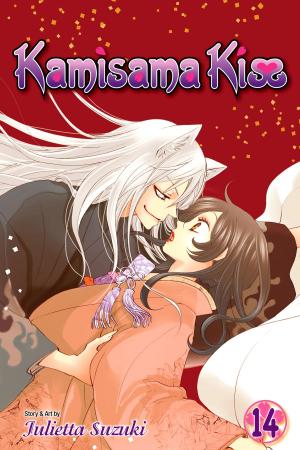 Book cover of Kamisama Kiss, Vol. 14