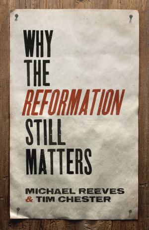 bigCover of the book Why the Reformation Still Matters by 