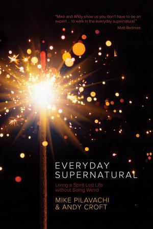 bigCover of the book Everyday Supernatural by 