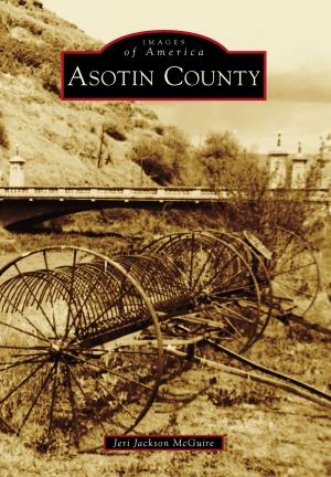 Cover of the book Asotin County by Janice Oberding