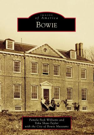 Cover of the book Bowie by Larry Williams