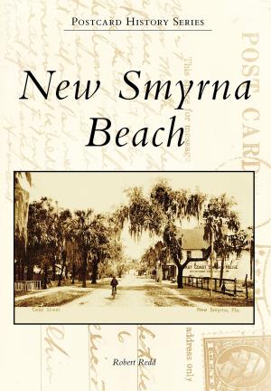 Cover of the book New Smyrna Beach by James E. Babbitt, John G. DeGraff III