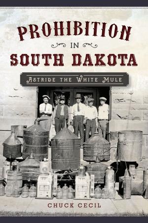 Cover of the book Prohibition in South Dakota by Bob Cudmore