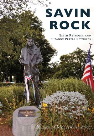 Cover of the book Savin Rock by John A. Basile