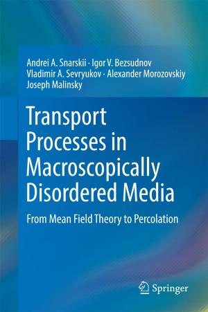 bigCover of the book Transport Processes in Macroscopically Disordered Media by 