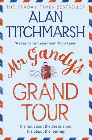 Book cover of Mr Gandy's Grand Tour