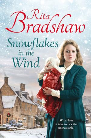 Cover of the book Snowflakes in the Wind by Cornelia Amiri