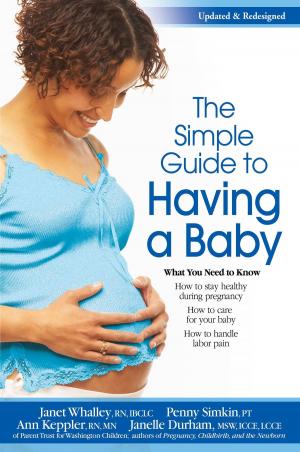 Cover of the book The Simple Guide To Having A Baby (2016) by Susan Straight