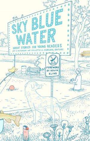 Cover of the book Sky Blue Water by 