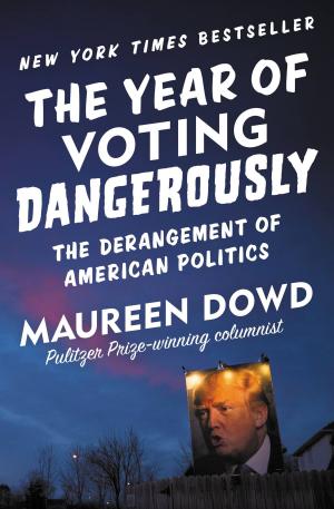 Cover of the book The Year of Voting Dangerously by Art Chansky, Michael Jordan
