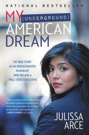 Book cover of My (Underground) American Dream
