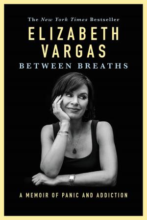 Cover of the book Between Breaths by V. K. Sykes