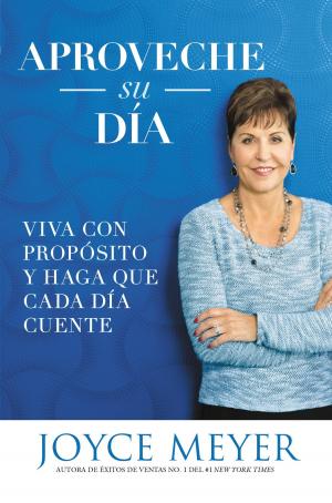 Cover of the book Aproveche su día by Kim de Blecourt