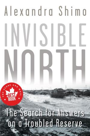 Cover of the book Invisible North by Nicholas Maes