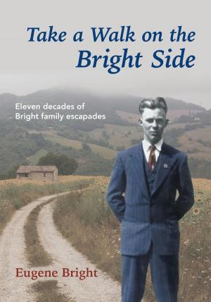 Cover of the book Take a Walk on the Bright Side by Razique Mahroua