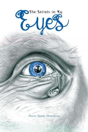 Cover of the book The Secrets in My Eyes by Cheryl S. Hartmann