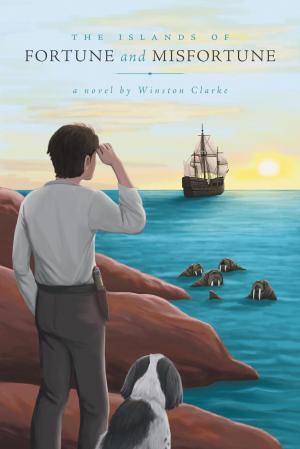 Cover of the book The Islands of Fortune and Misfortune by Tony May