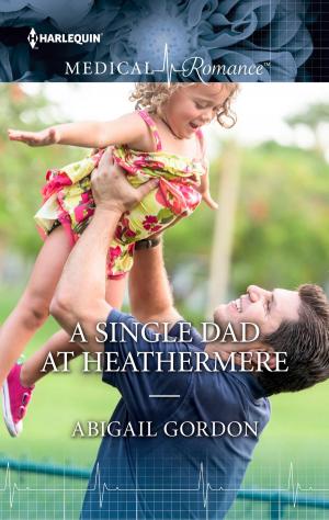 Book cover of A Single Dad at Heathermere