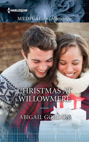 Cover of the book Christmas at Willowmere by Elizabeth Bevarly