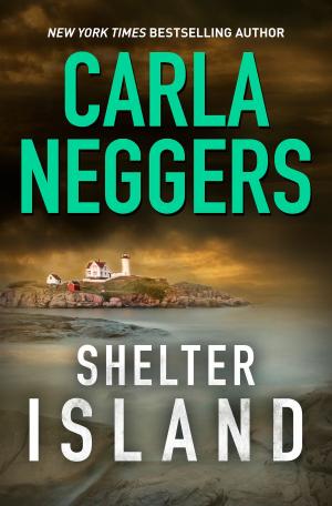 bigCover of the book SHELTER ISLAND by 