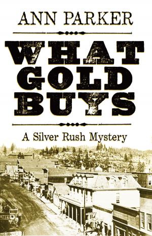 Cover of the book What Gold Buys by Stephen Anable