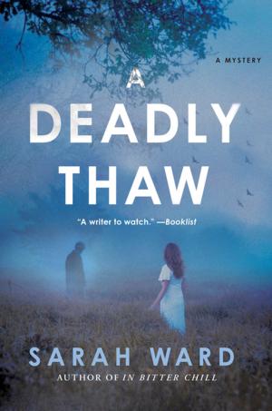 Cover of the book A Deadly Thaw by Susan Bartlett Crater, Libby Cameron