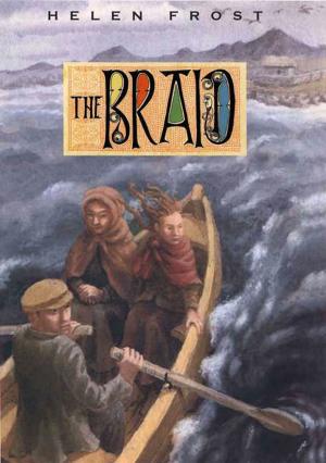 Cover of the book The Braid by Neal I. Rosenthal