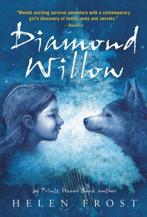 Cover of the book Diamond Willow by Janice N. Harrington