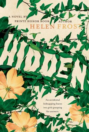 Cover of the book Hidden by Donna Freitas