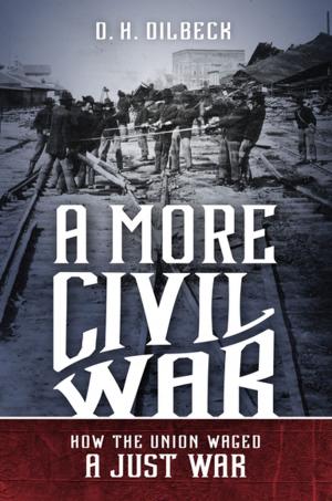 Cover of the book A More Civil War by Cedric J. Robinson