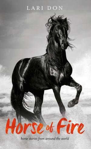 bigCover of the book Horse of Fire by 