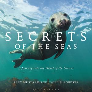 Cover of the book Secrets of the Seas by Sally Cline, Carole Angier