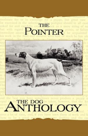 Cover of the book The Pointer - A Dog Anthology (A Vintage Dog Books Breed Classic) by Professor Harrison