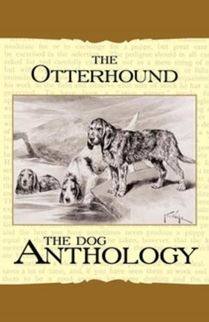 Book cover of The Otterhound - A Dog Anthology (A Vintage Dog Books Breed Classic)