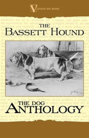 Cover of the book The Basset Hound - A Dog Anthology (A Vintage Dog Books Breed Classic) by Eva March Tappan