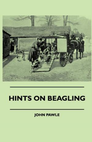 Cover of the book Hints On Beagling by Pook Press, Andrew Lang