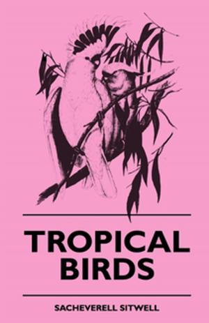 Book cover of Tropical Birds