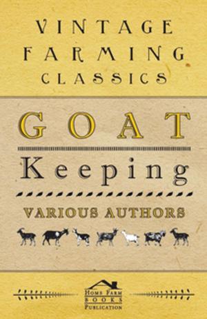 Cover of the book Goat Keeping by Charles Hanson Towne