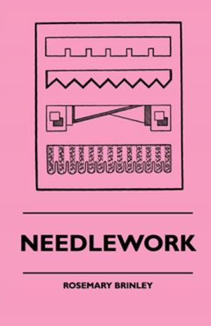 Book cover of Needlework