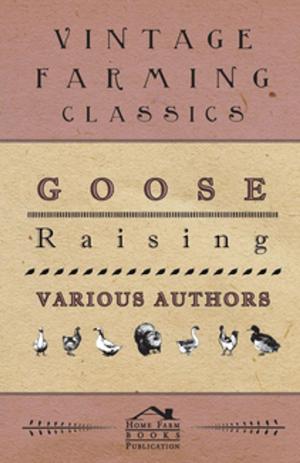 Cover of the book Goose Raising by Felix Mendelssohn